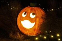 可愛いですよね～