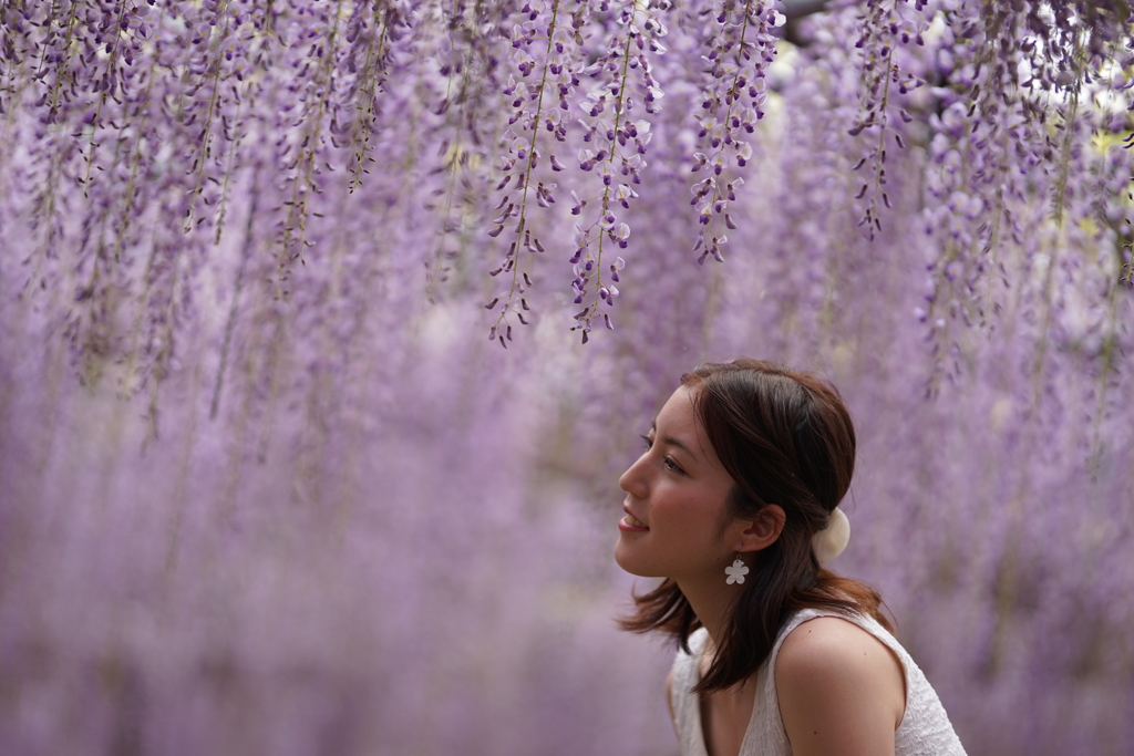 花の香りに誘われて