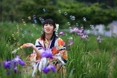 菖蒲園で