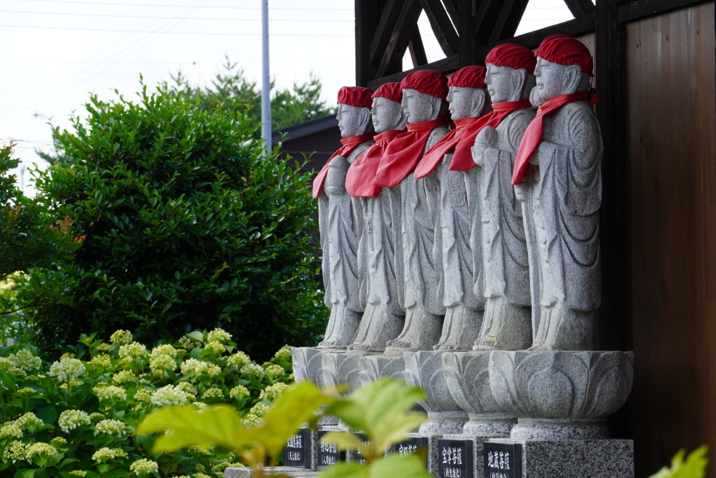 六地蔵と紫陽花