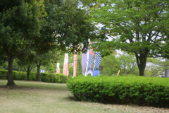 今年はひっそり