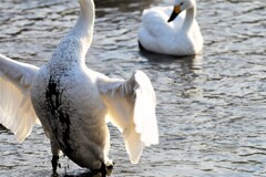 胸・・・汚れてるよ