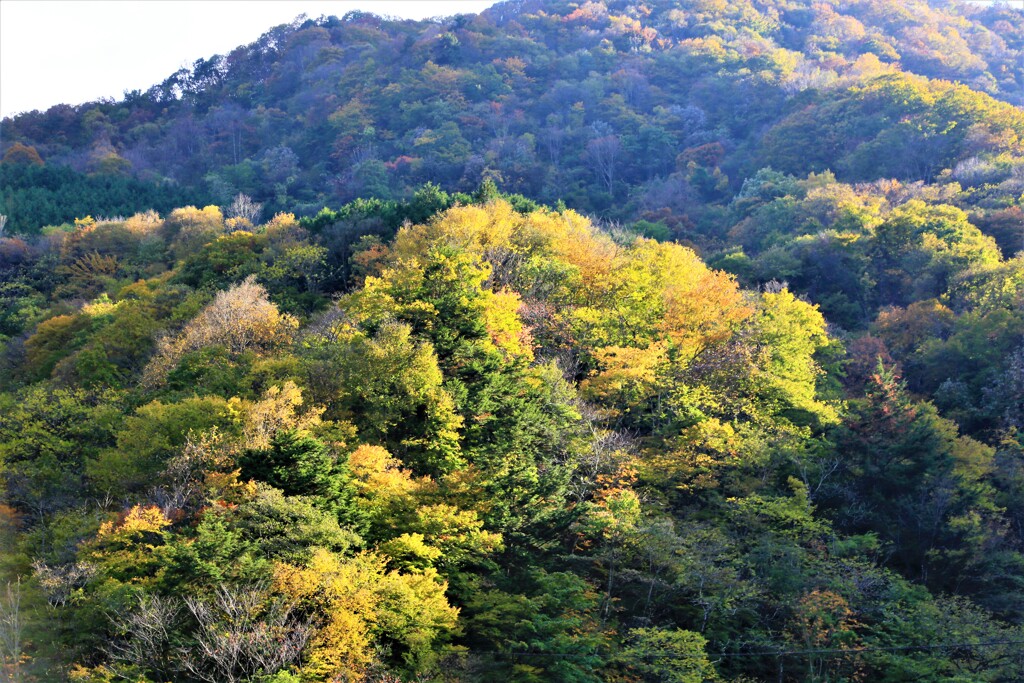 奥秩父（川又）