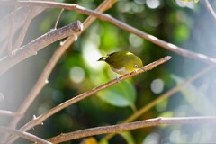 食べ物・・・あるかな～