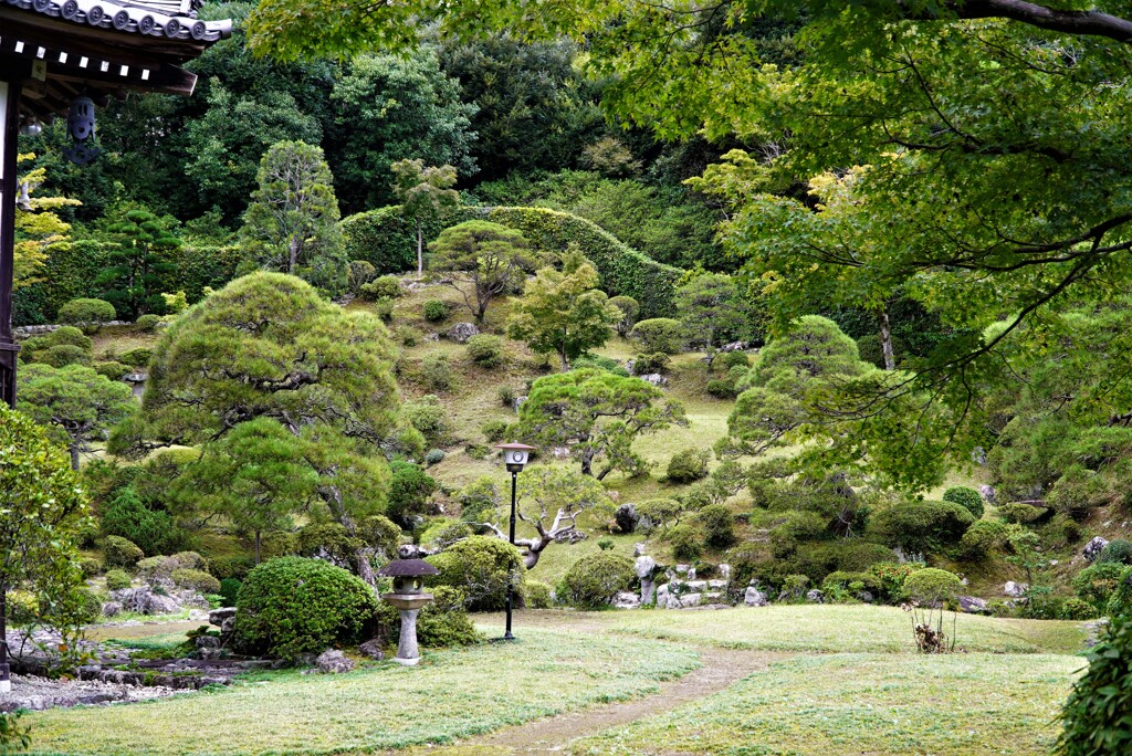 お寺の庭園