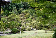 お寺の庭園