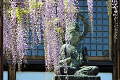 藤の花と観音様