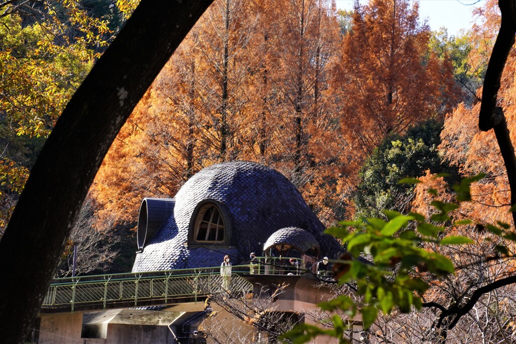 あけぼの子ども公園２