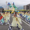 今年は・・・ない(-.-)