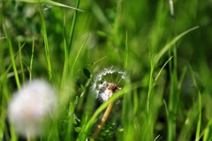 これから遠くに飛ぶ