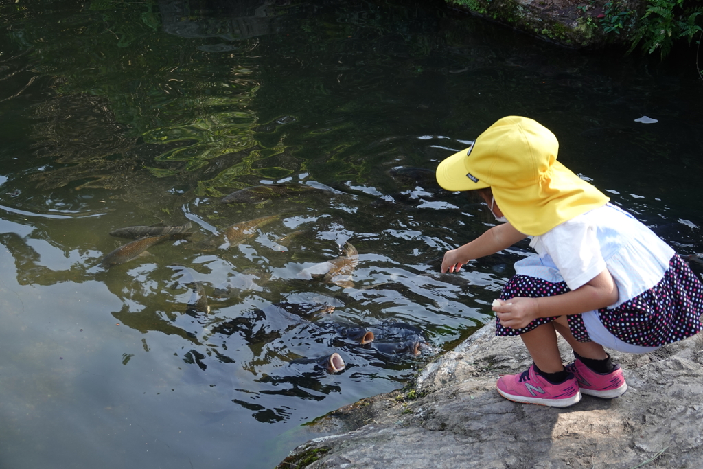 お腹空いたでしょ