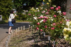 上手く撮れたかな 上手く撮れたかな