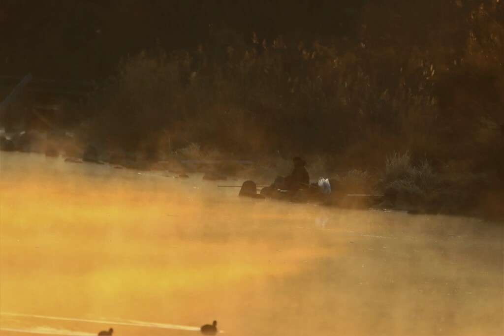 早朝の釣り