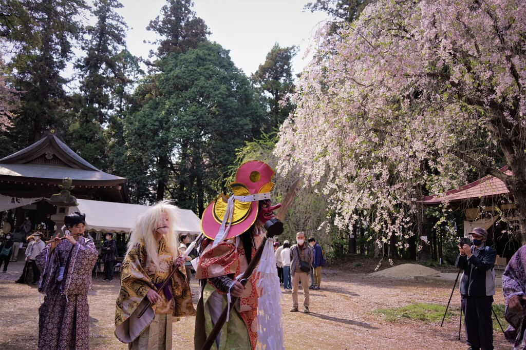 桜と猿田彦命