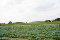 日本一の橋