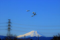富士山と白鳥４