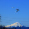 富士山と白鳥４