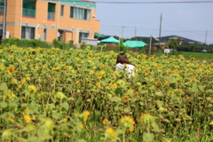 探し物は何ですか