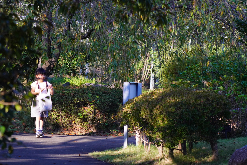 小春日和の散歩
