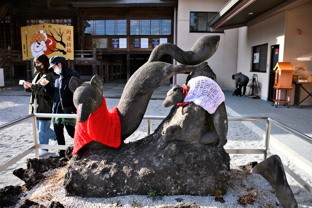 寒がりのお狐さん