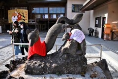 寒がりのお狐さん