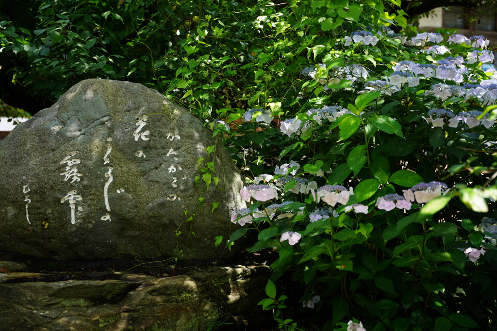 お寺の庭