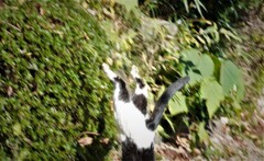 飛び降り・・・