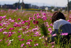 花摘み