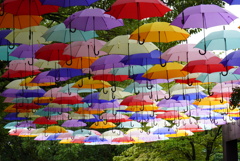 梅雨が明けないですね
