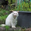 食べ物よこせ～