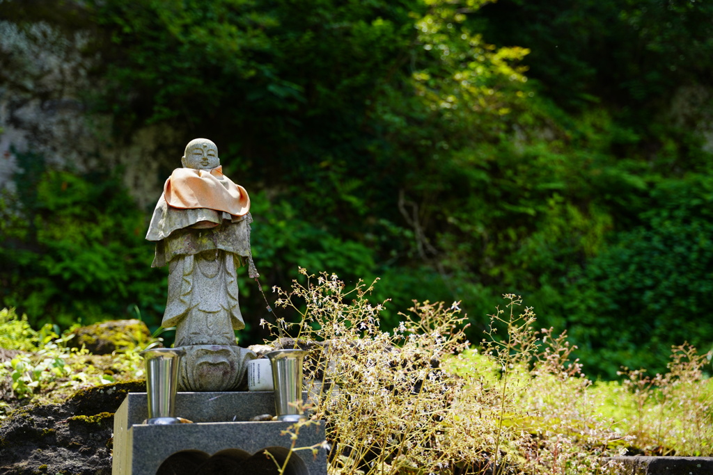 お地蔵様とユキノシタ