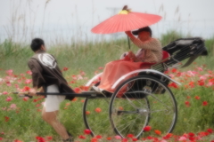 高級車で見学 高級車で見学