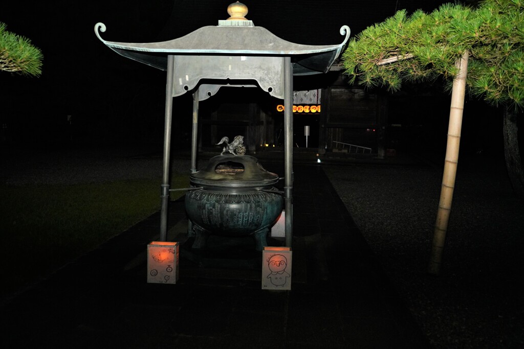 夜のお寺の庭