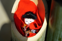 竹の中の雛人形