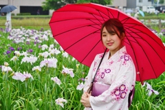 傘と浴衣と紫陽花
