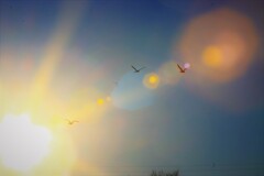 朝陽に向かって