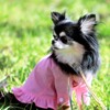 花見に来たよ～