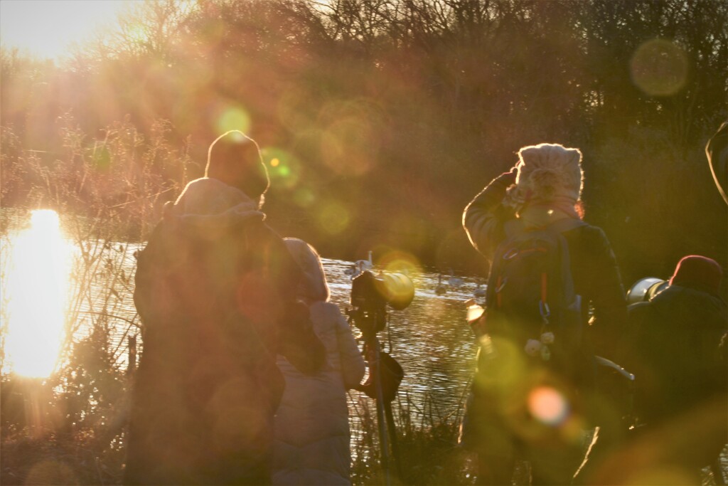 眩しい朝陽の中で