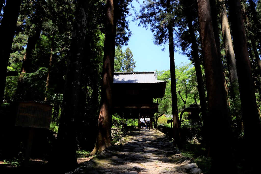 木に囲まれた寺
