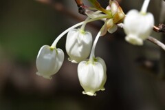 君・・・可愛いね(^-^)