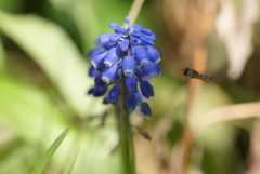 突撃