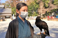 育ててる鳥の披露