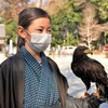 育ててる鳥の披露