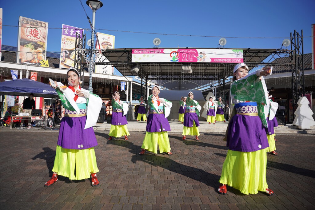 久しぶりのよさこい