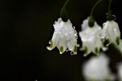 寒・・・重！！