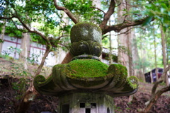 山の中