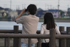 何を見てるの