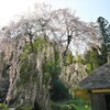 古民家と桜４