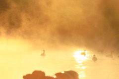 朝の美しい光景