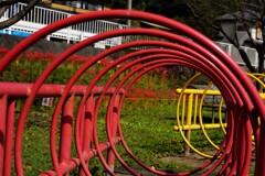 公園